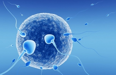 Методы диагностики и лечения антиспермальных антител